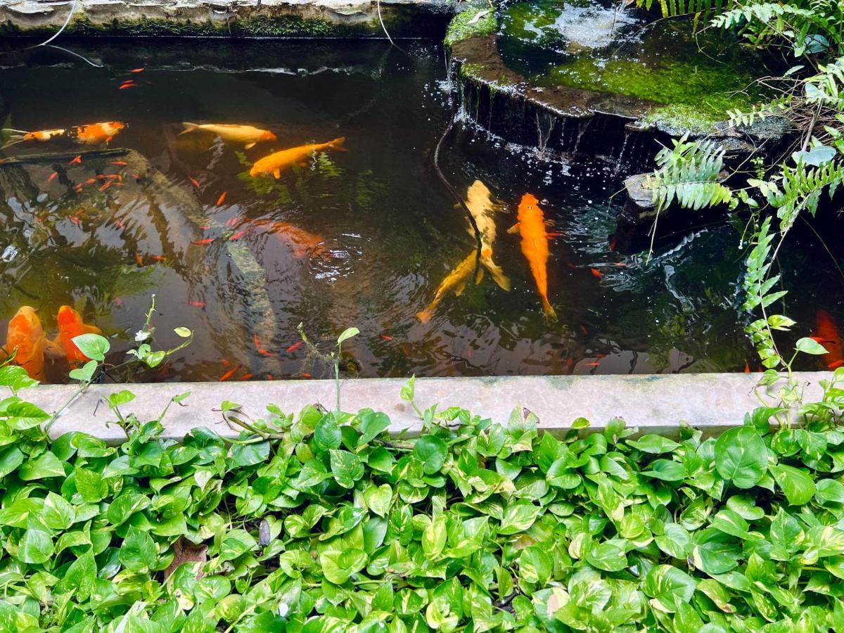 Hotel La Villa Khon Kaen Zewnętrze zdjęcie
